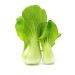 Pak Choy - Image 2